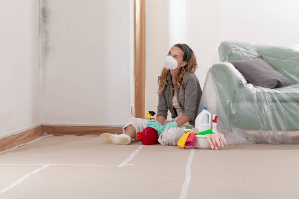 Reliable Mold Cleanup contractor in Bay Pines, FL by WQB Mold Removal